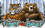 Tiger vs Bear